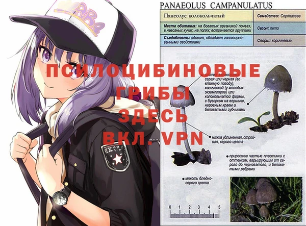 соль ск Касимов